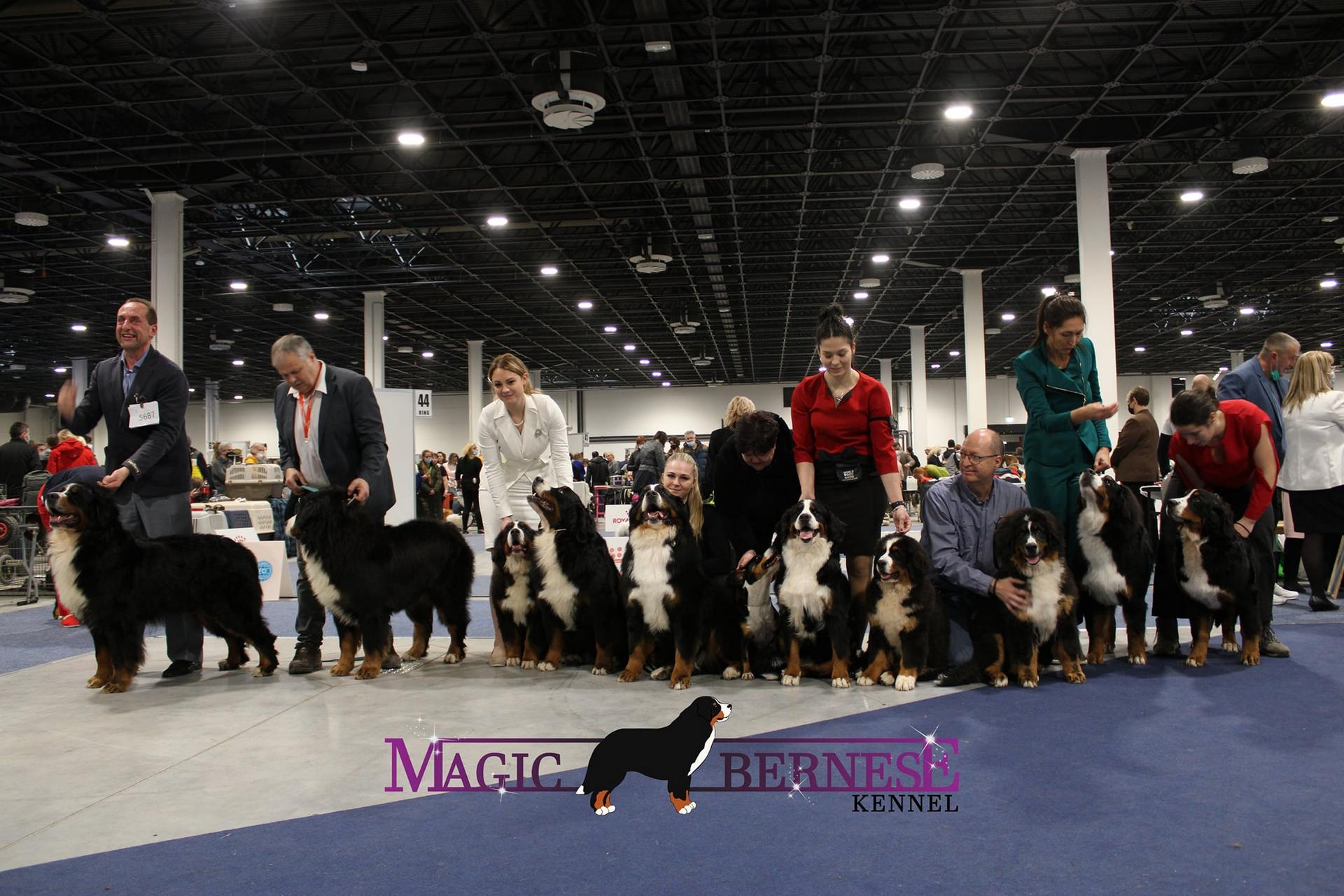 Közös kiállítások